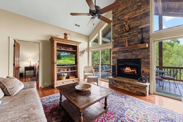 Smart TV, fireplace, DVD player, books