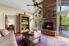 Smart TV, fireplace, DVD player, books