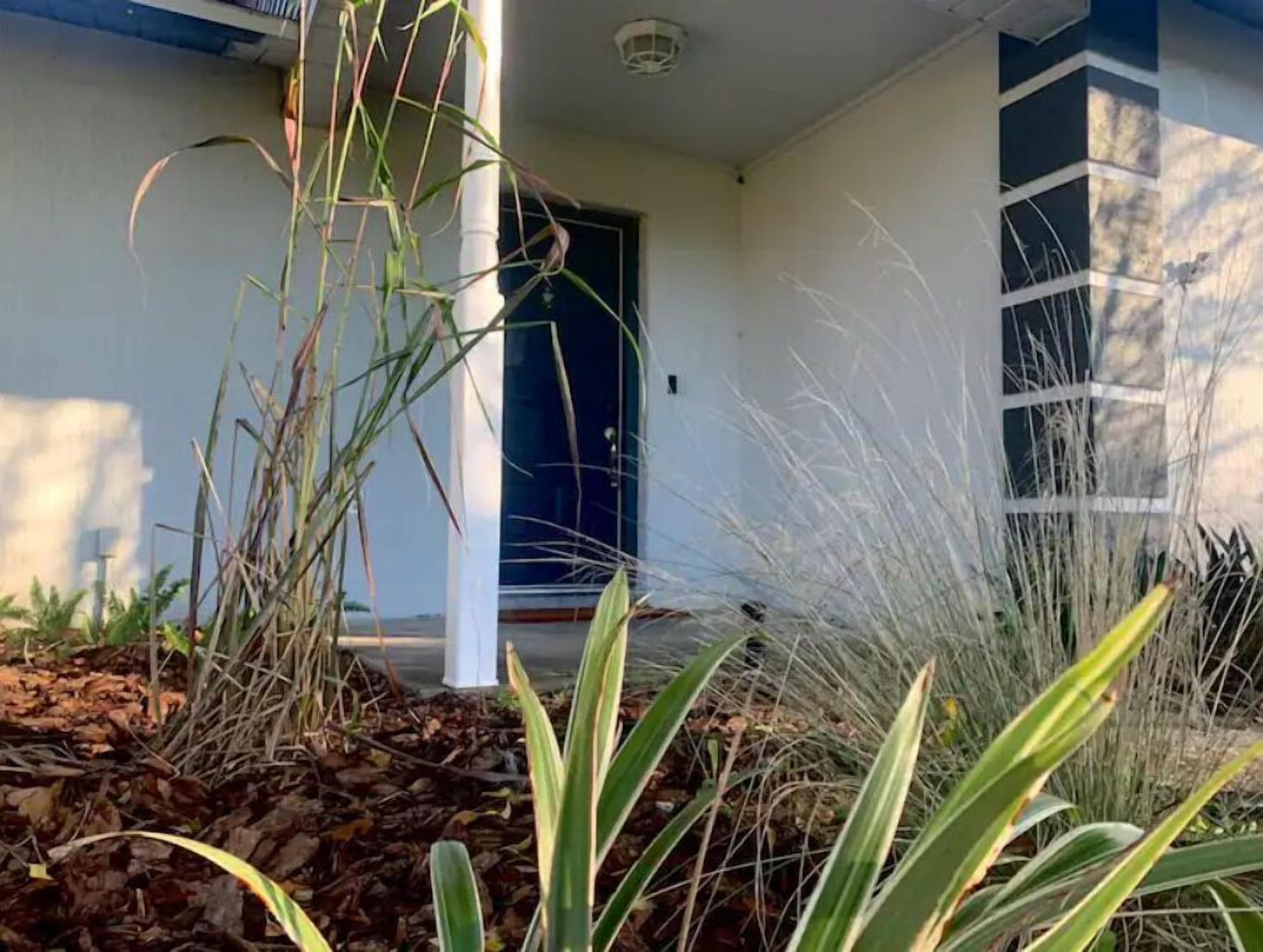 A house with a blue door, surrounded by tall grasses and plants. - Home away from home (Auburndale)