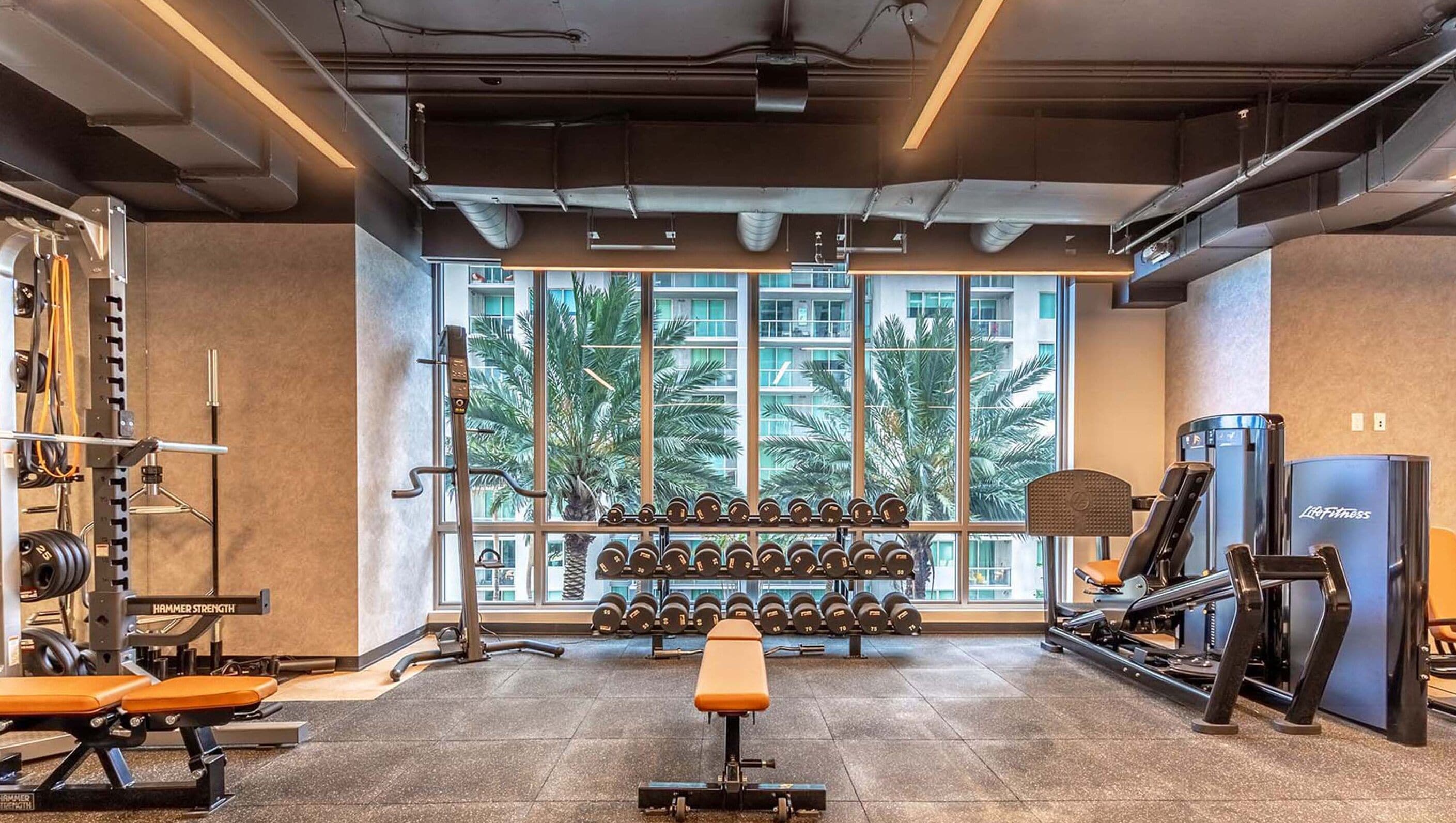 A gym with a bench, dumbbells, and weight machines.
