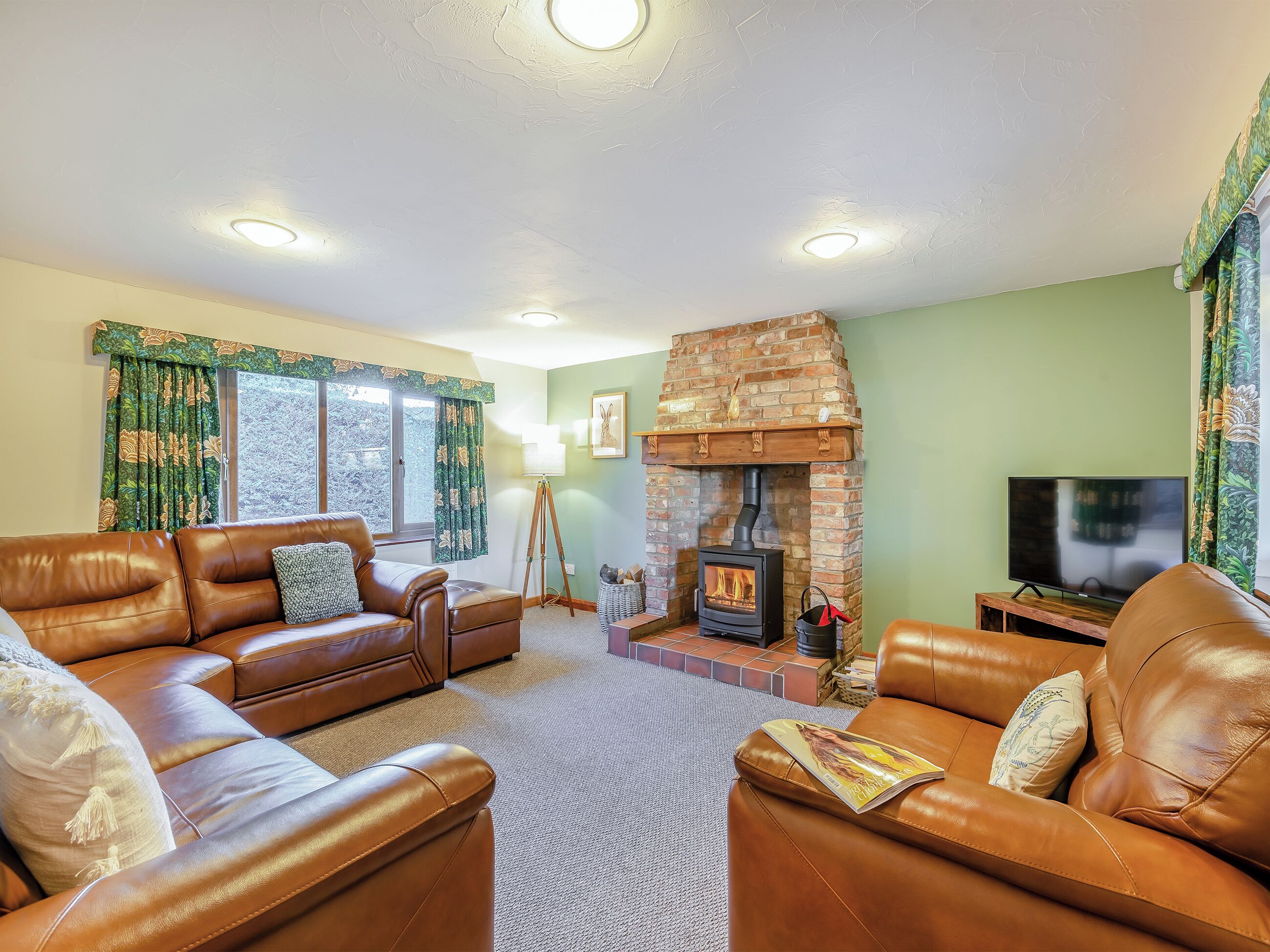 TV, fireplace
