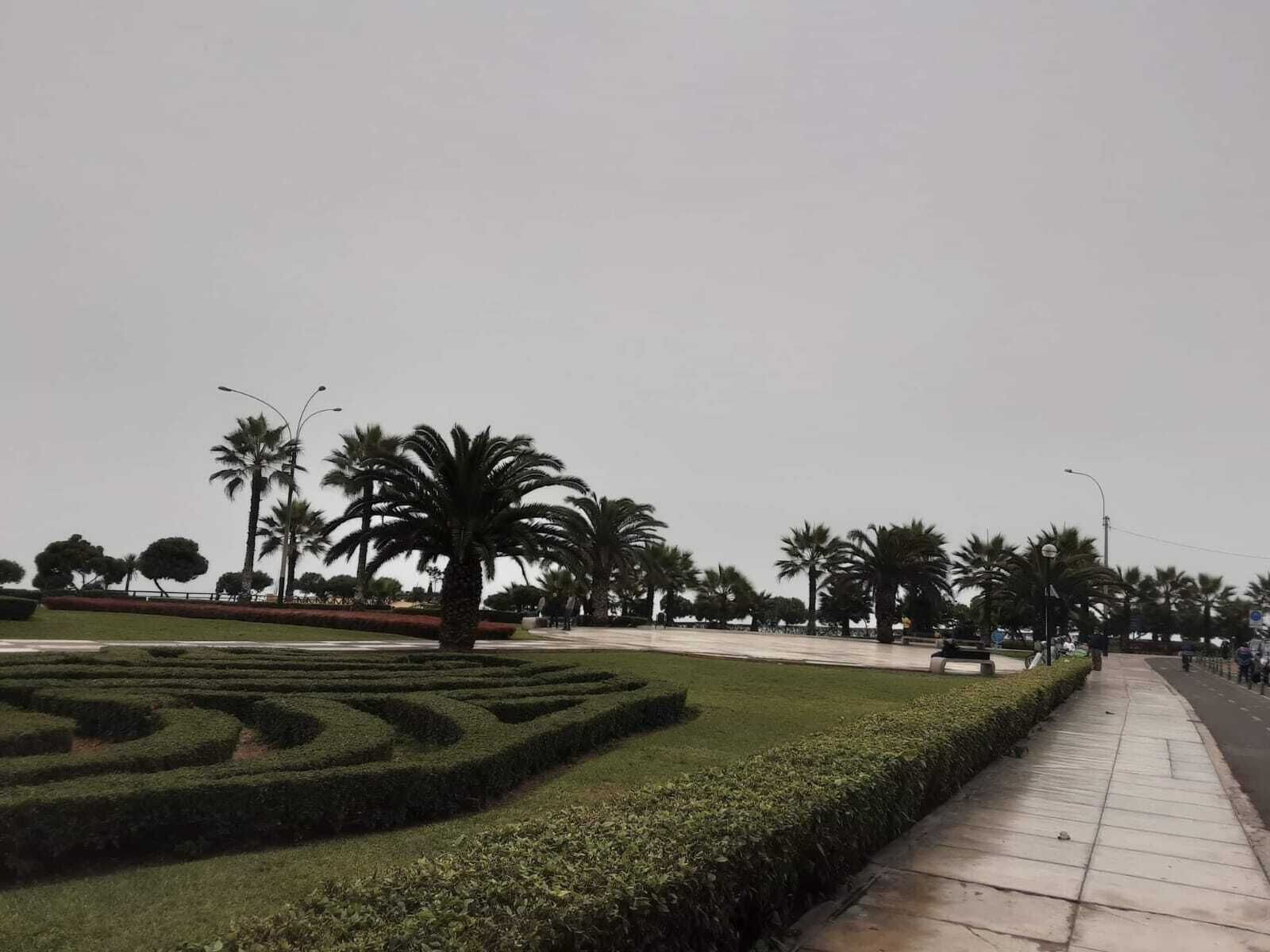 A landscaped garden with neatly trimmed hedges and palm trees.