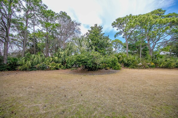 A grassy area with a variety of trees and shrubs. - Nirvana30A at Seagrove Beach, 30A 2 min walk to the beach - family friendly home (Santa Rosa Beach)