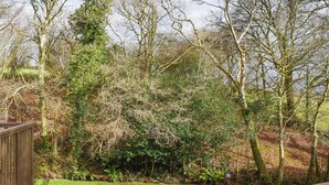 A natural landscape with trees and a wooden fence.