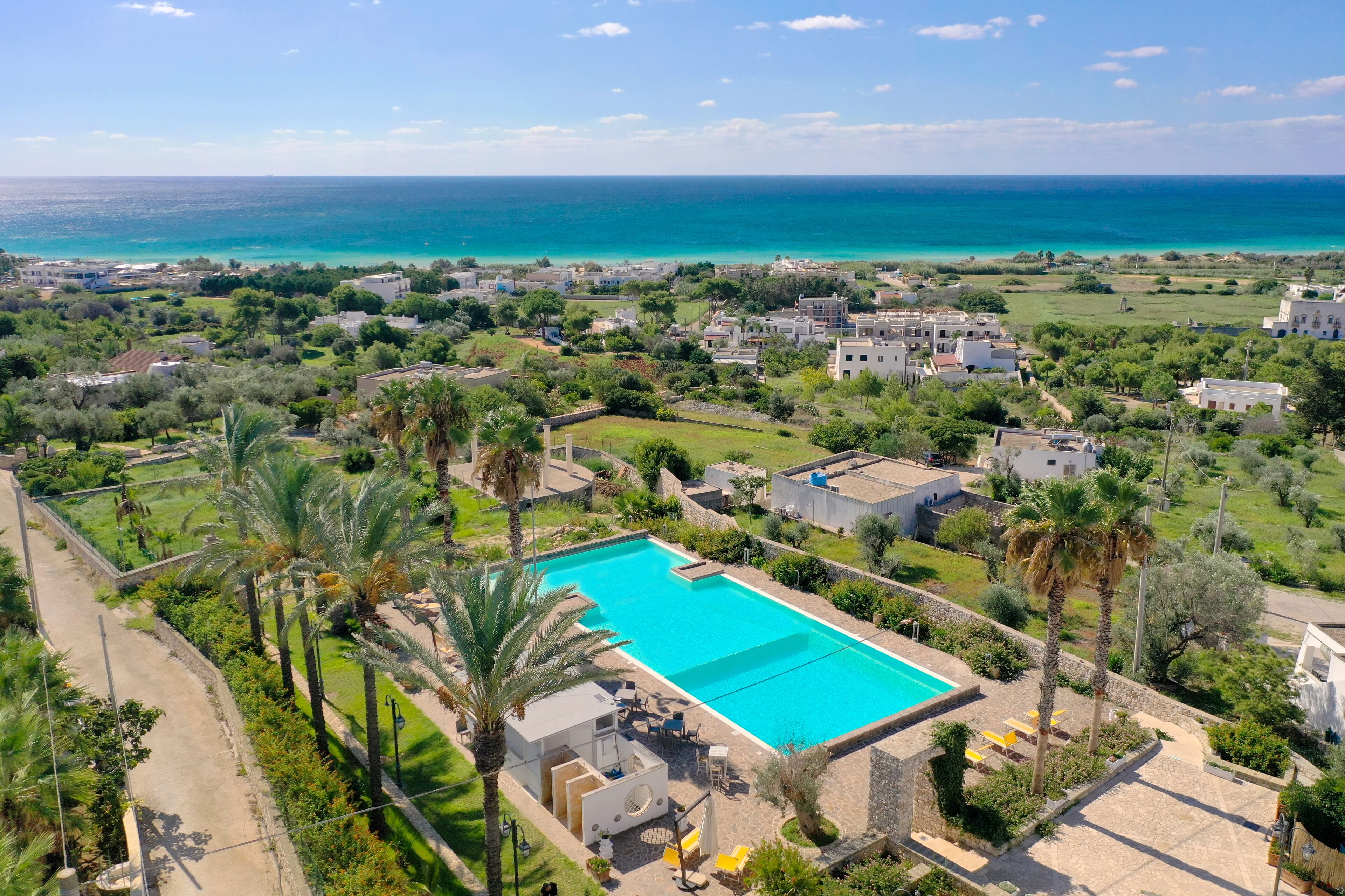 A large swimming pool surrounded by palm trees and greenery, with a view of the ocean and a residential area in the background.