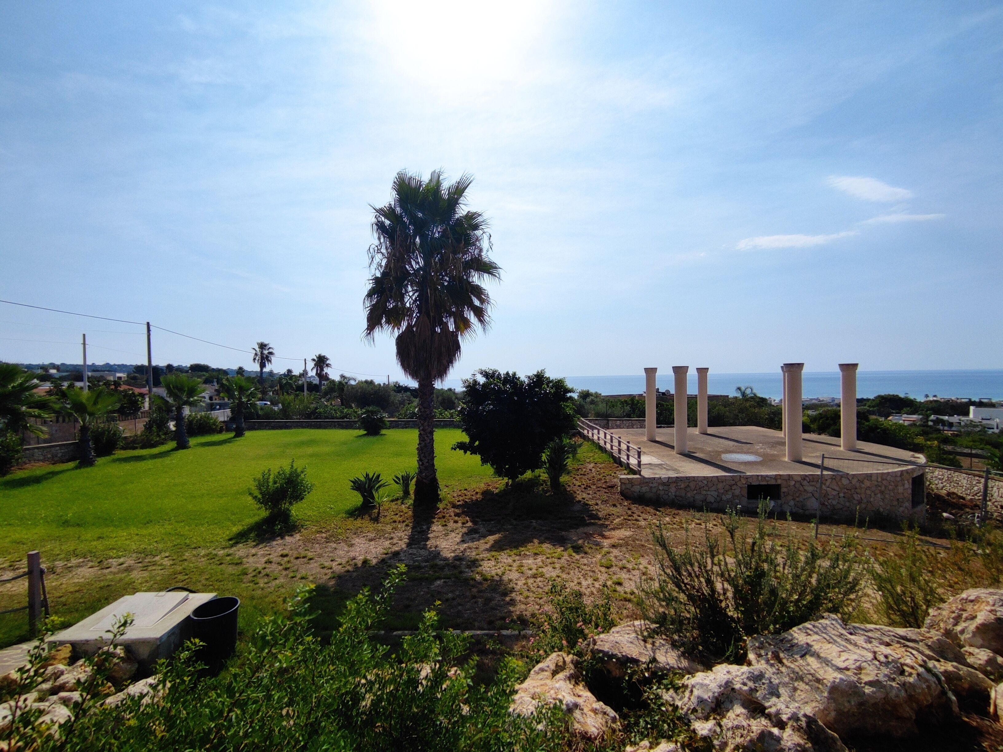 A historical site with a central palm tree, stone columns, and a view of the sea.