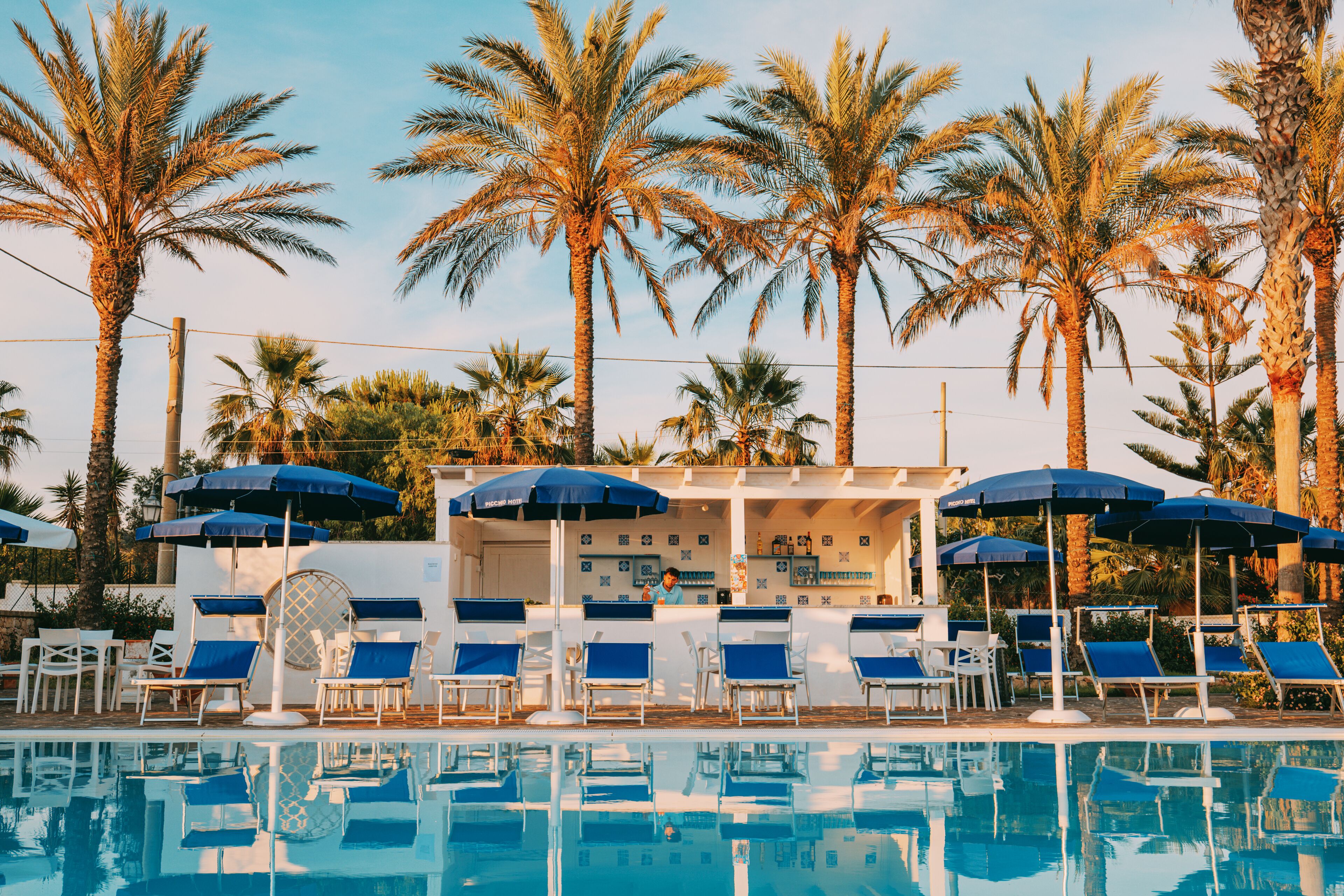 A poolside area with lounge chairs and umbrellas, surrounded by palm trees.