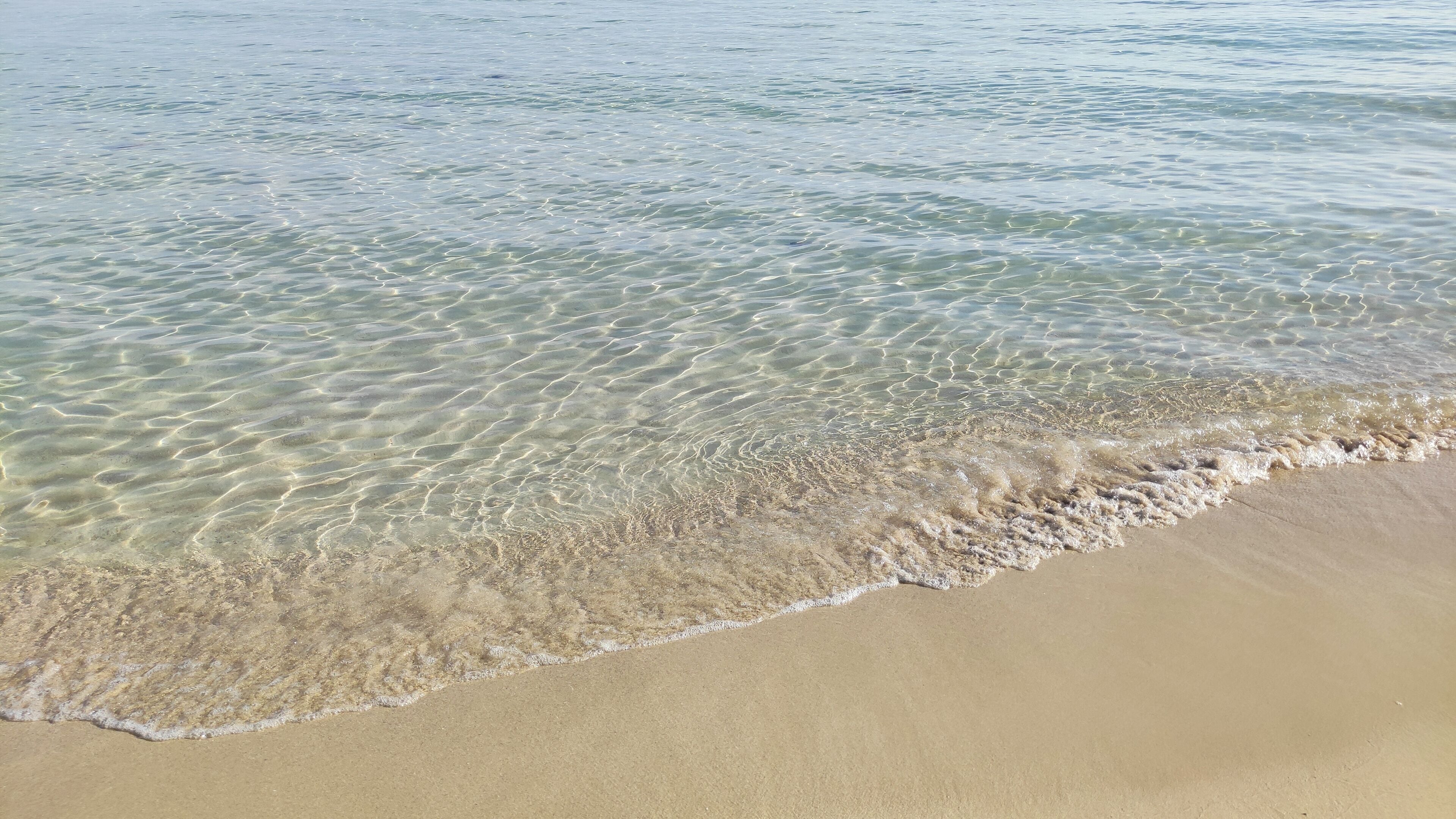 Una playa con aguas cristalinas y una orilla arenosa.