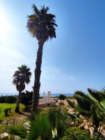 Jardín