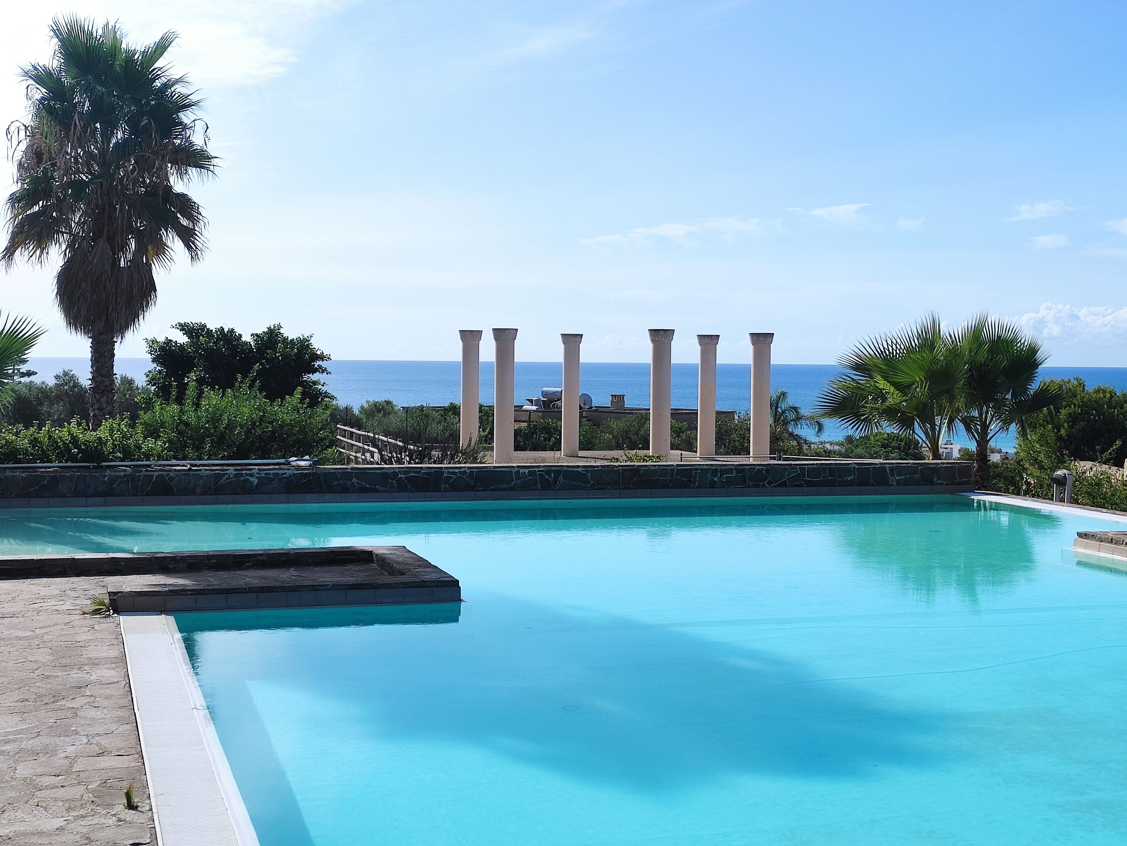 A swimming pool with a view of the ocean and palm trees.