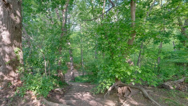 A forested area with a dirt path leading through it. - Washington DC Apartment at Rock Creek Park! (Washington)