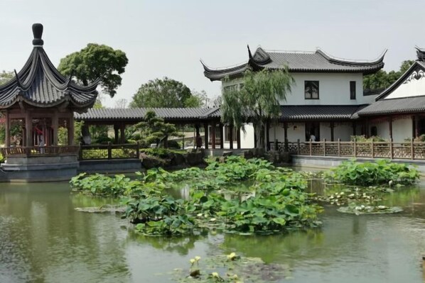 Vista desde la propiedad