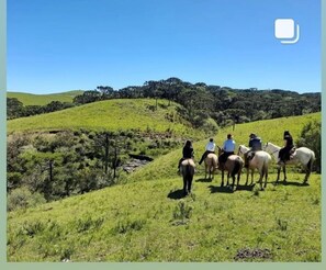 Horseback riding