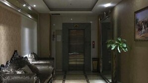 Een gang met een zwart-wit geruit vloerkleed, een kamerplant en een lift.