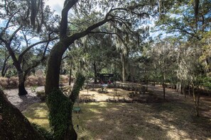 Escape to a serene natural oasis surrounded by lush trees and vibrant foliage.