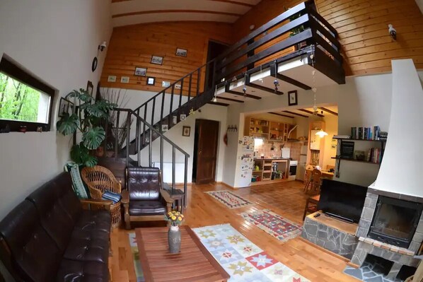 Smart TV, fireplace, books