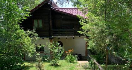 Mountain Family Chalet