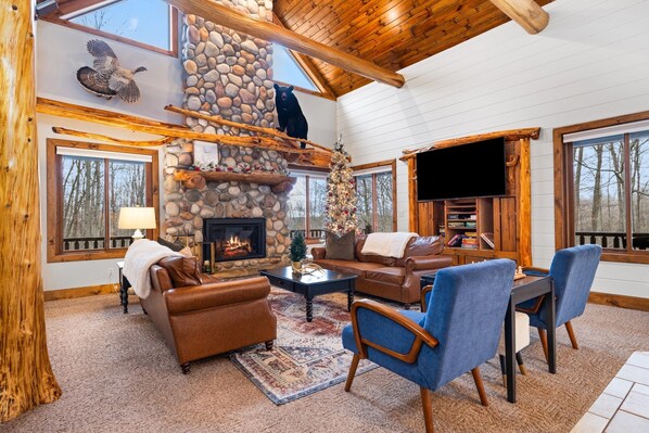 Smart TV, fireplace, table football, books