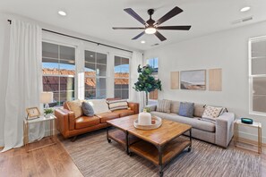 TV, fireplace, video games, ping pong