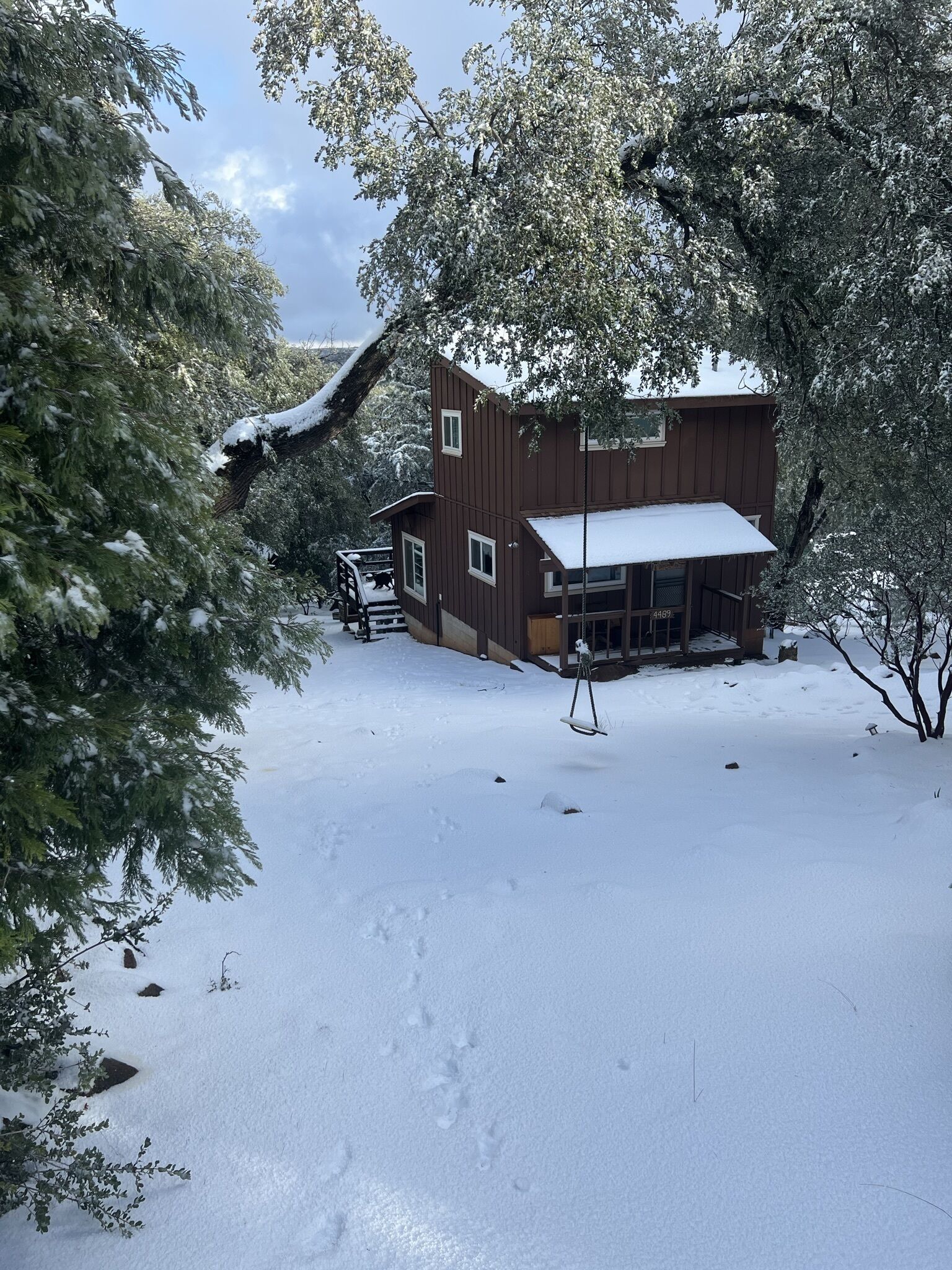 Pine Hills Hideaway- cozy forested retreat