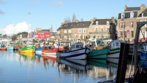 A harbor with boats docked, buildings in the background, and a clear sky.