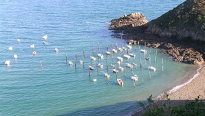 A coastal scene with numerous boats anchored near the shore, surrounded by rocky cliffs and clear blue waters.