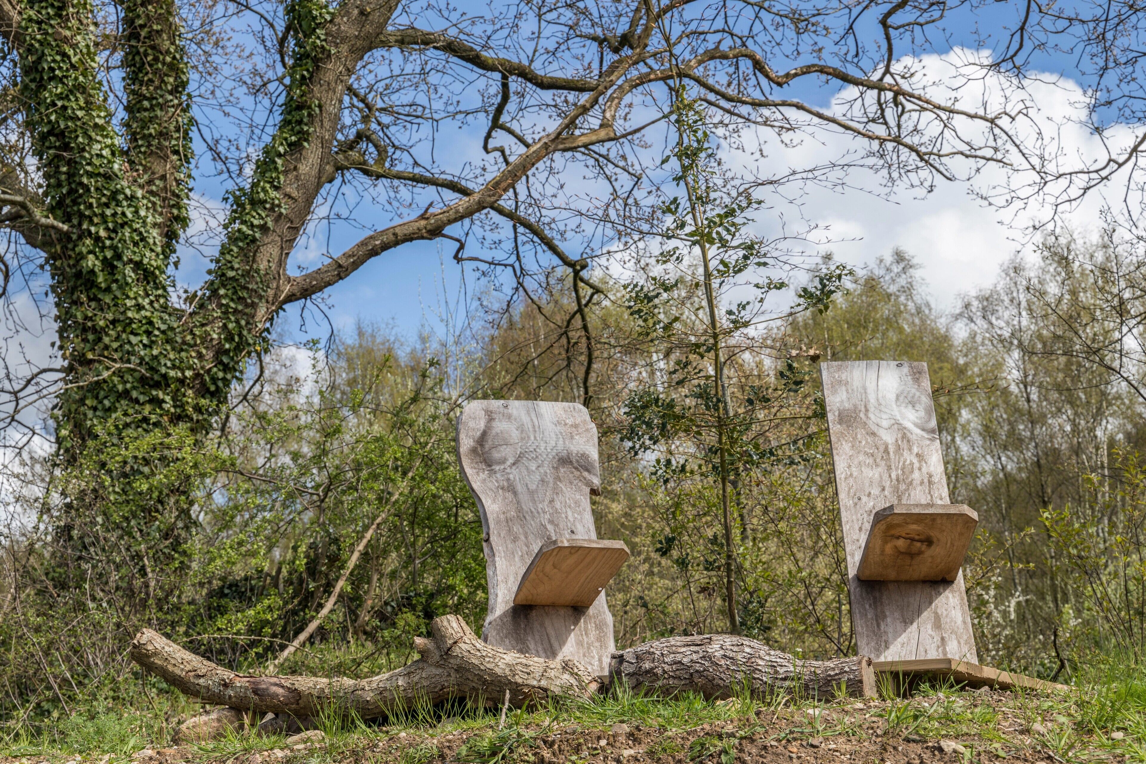 Two wooden sculptures in a natural setting with trees and a clear sky.