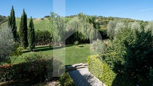 Un jardín arbolado con un sendero que conduce a una zona verde, rodeado de árboles y arbustos diversos.