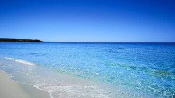 Apartment | 3 Schlafzimmer