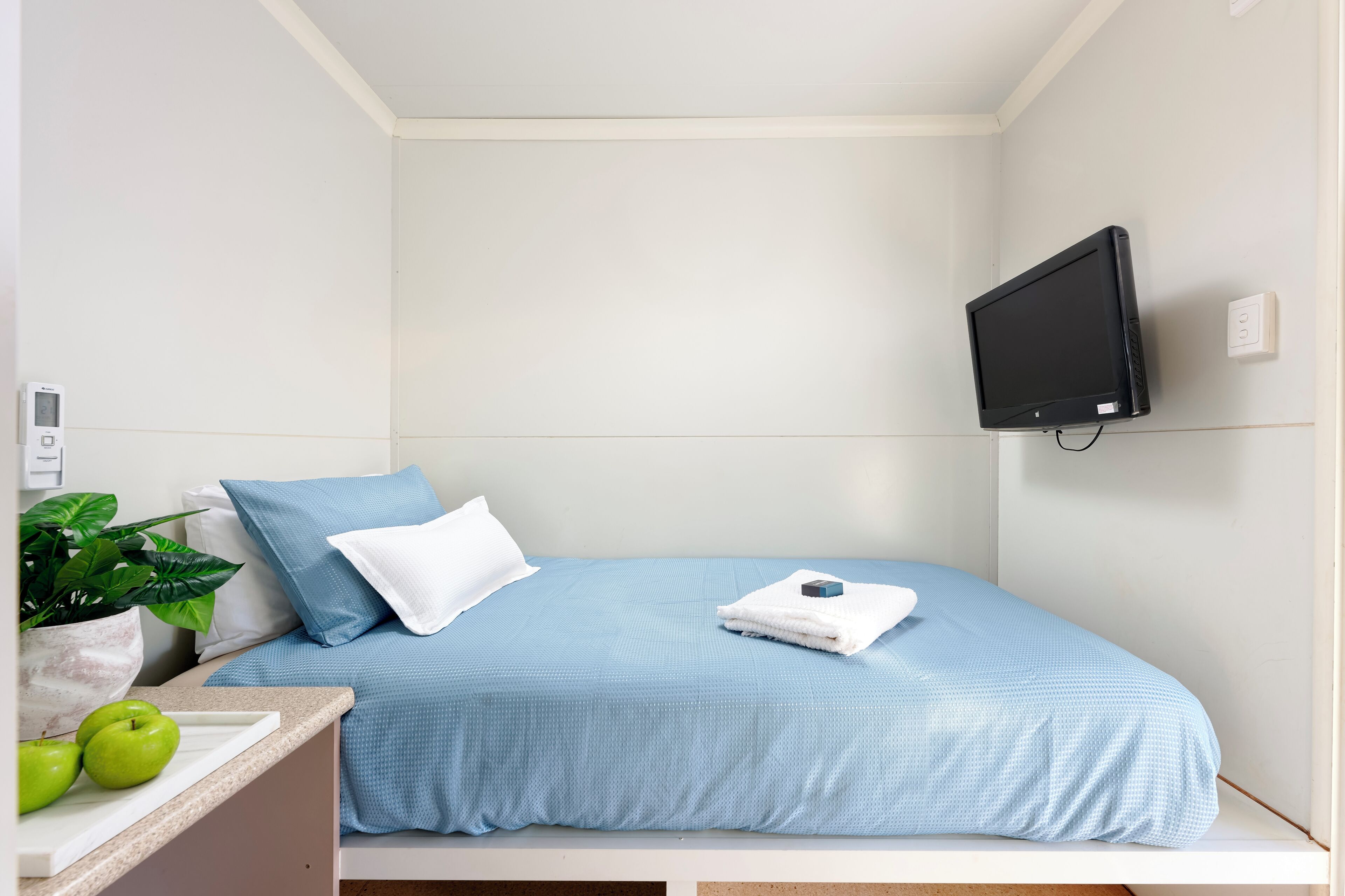 A small, neatly arranged bedroom with a bed, a TV mounted on the wall, a bedside table with a plant, and a window.