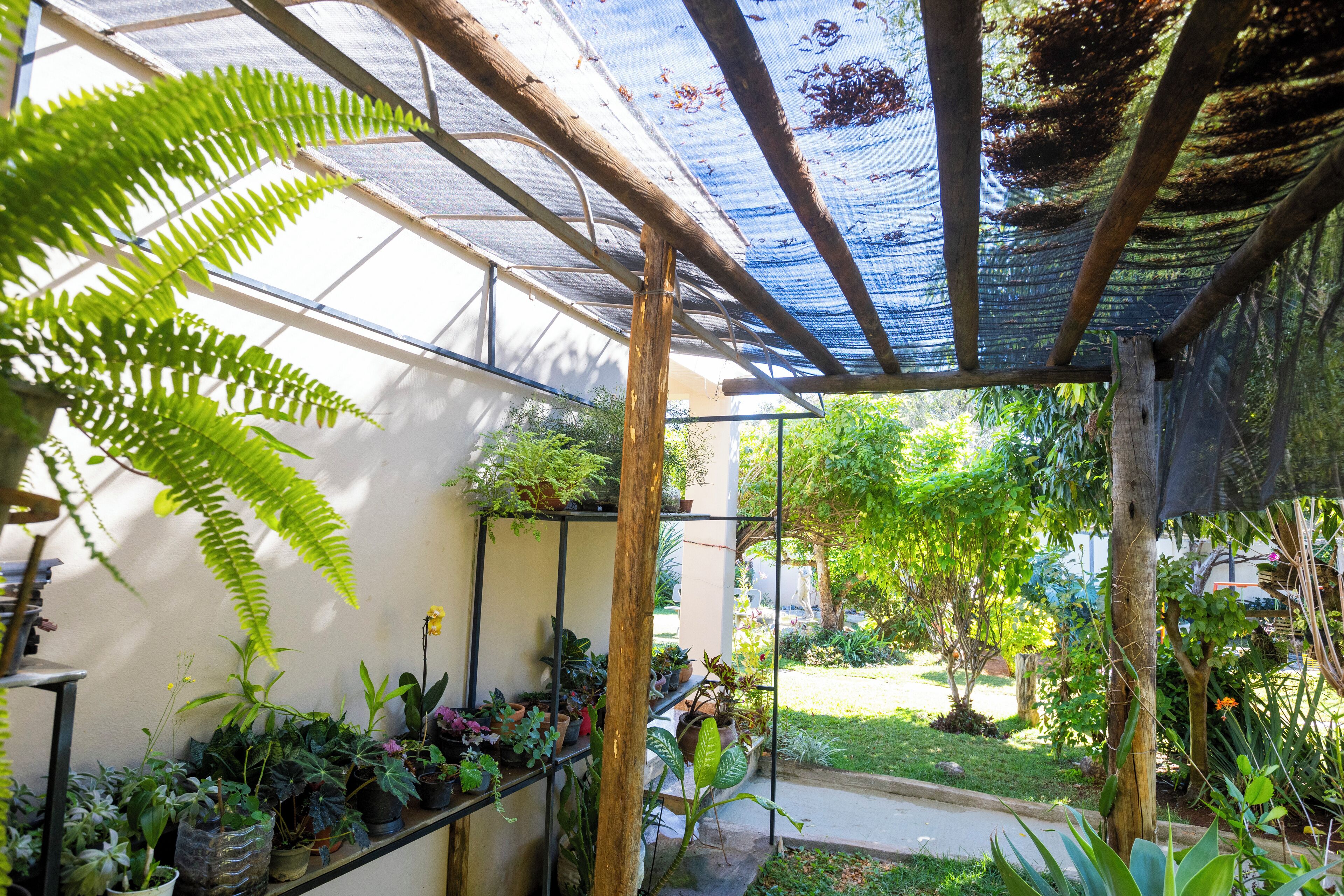 Een overdekt terras met diverse plantenpotten en een houten pergola.