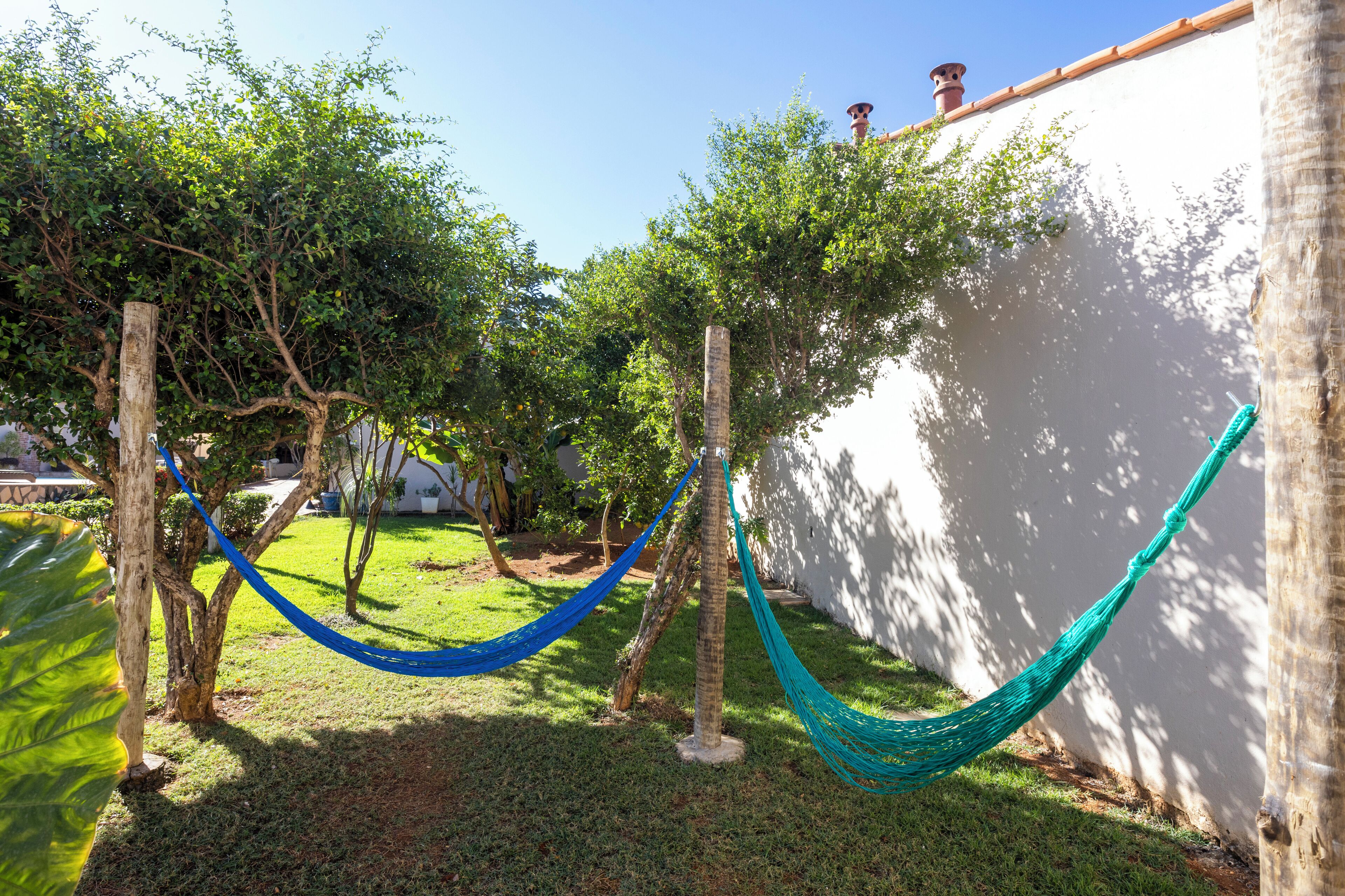 Un hamac tendu entre deux arbres dans un jardin, avec un mur blanc et un ciel bleu dégagé.