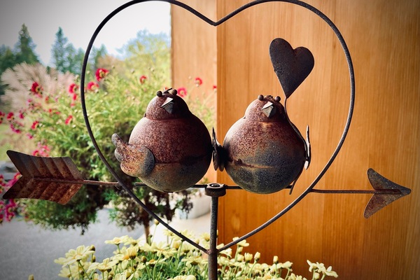Die beiden Turteltauben begrüßen dich schon vor der Haustüre