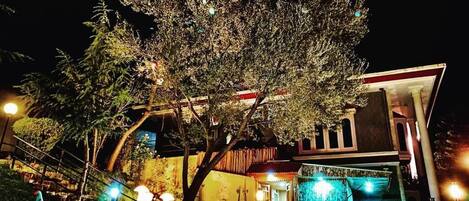 واجهة المنشأة