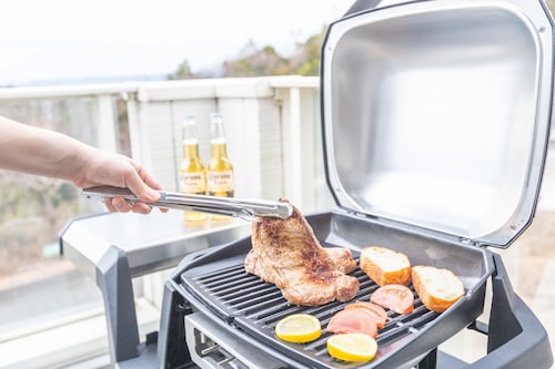 バーベキュー / ピクニック エリア