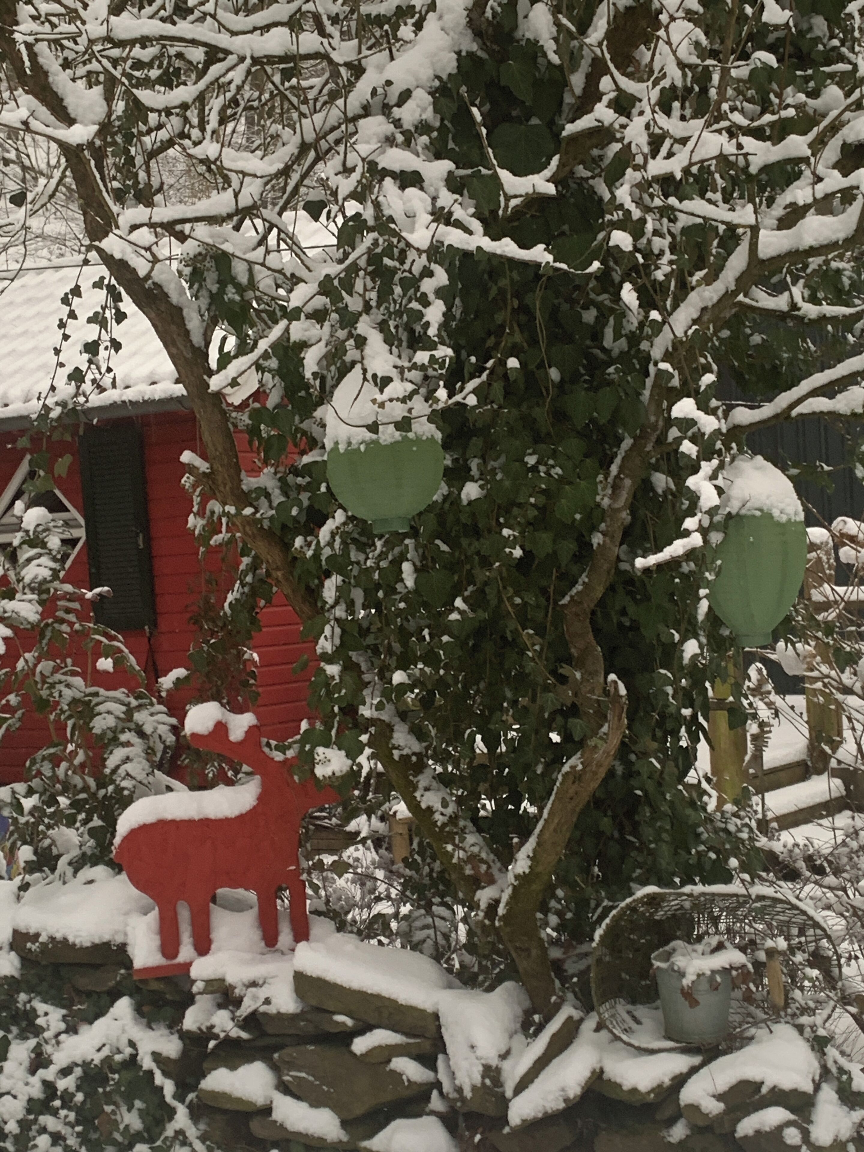 A red building with a snow-covered tree in front.