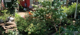 The perfect time-out surrounded by greenery on an idyllic farmstead