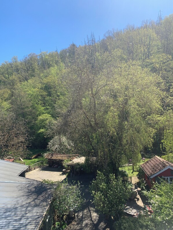 A residential area with a house, a wooden deck, and a garden.