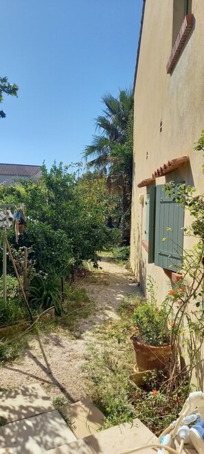 A narrow pathway leading to a building with a beige exterior and green shutters. There are potted plants and a clothesline visible.