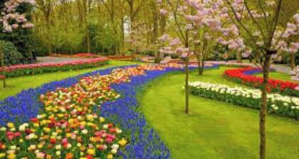 Cozy house swimming pool