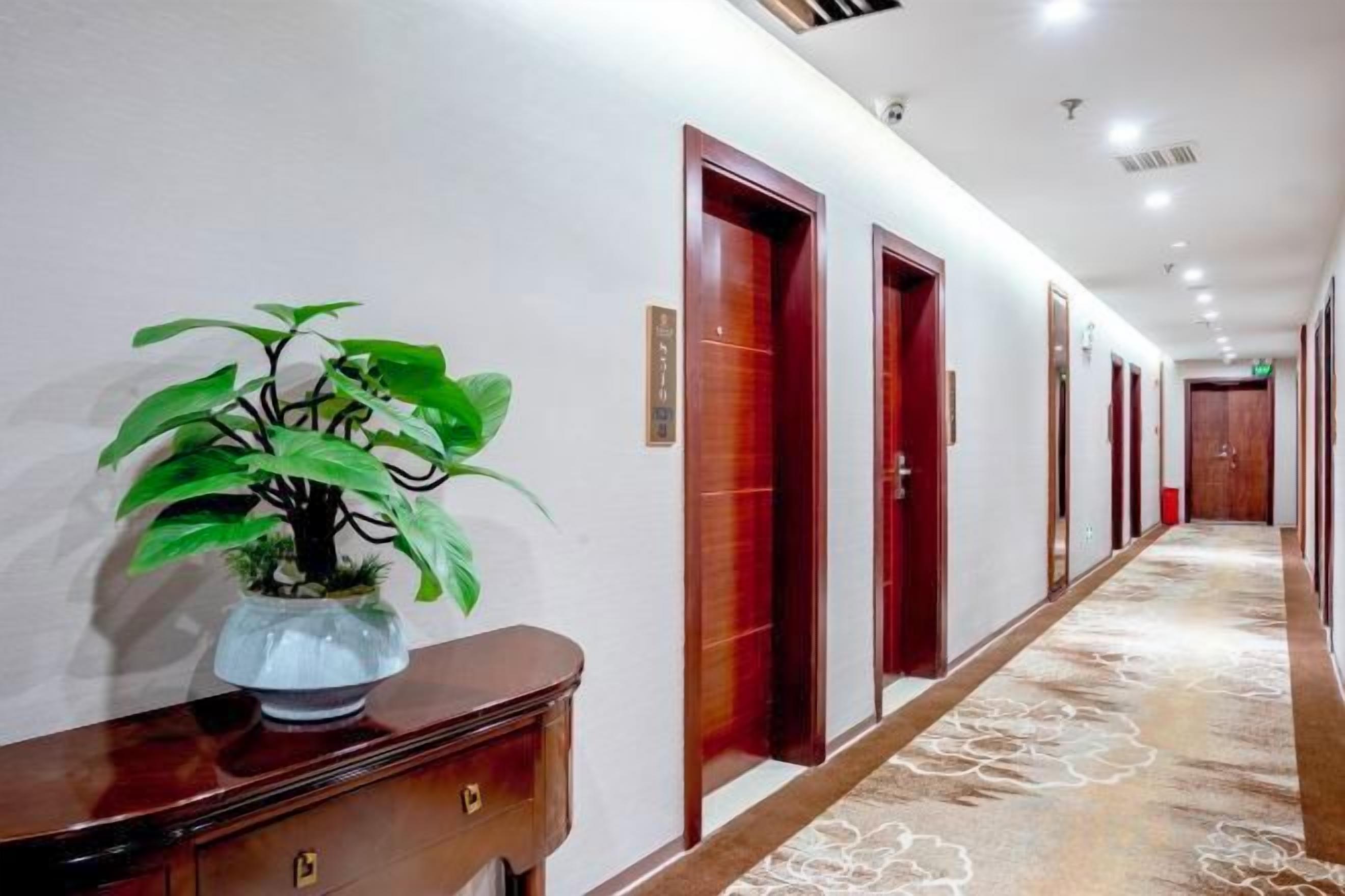 Un couloir d’hôtel avec une plante en pot, des portes en bois et un tapis à motifs.