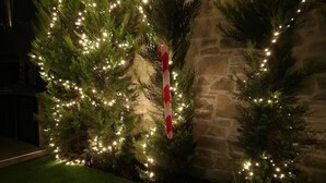 Una casa con fachada de piedra y un jardín iluminado con árboles de Navidad decorados con luces.