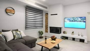 House | Living area | Fireplace