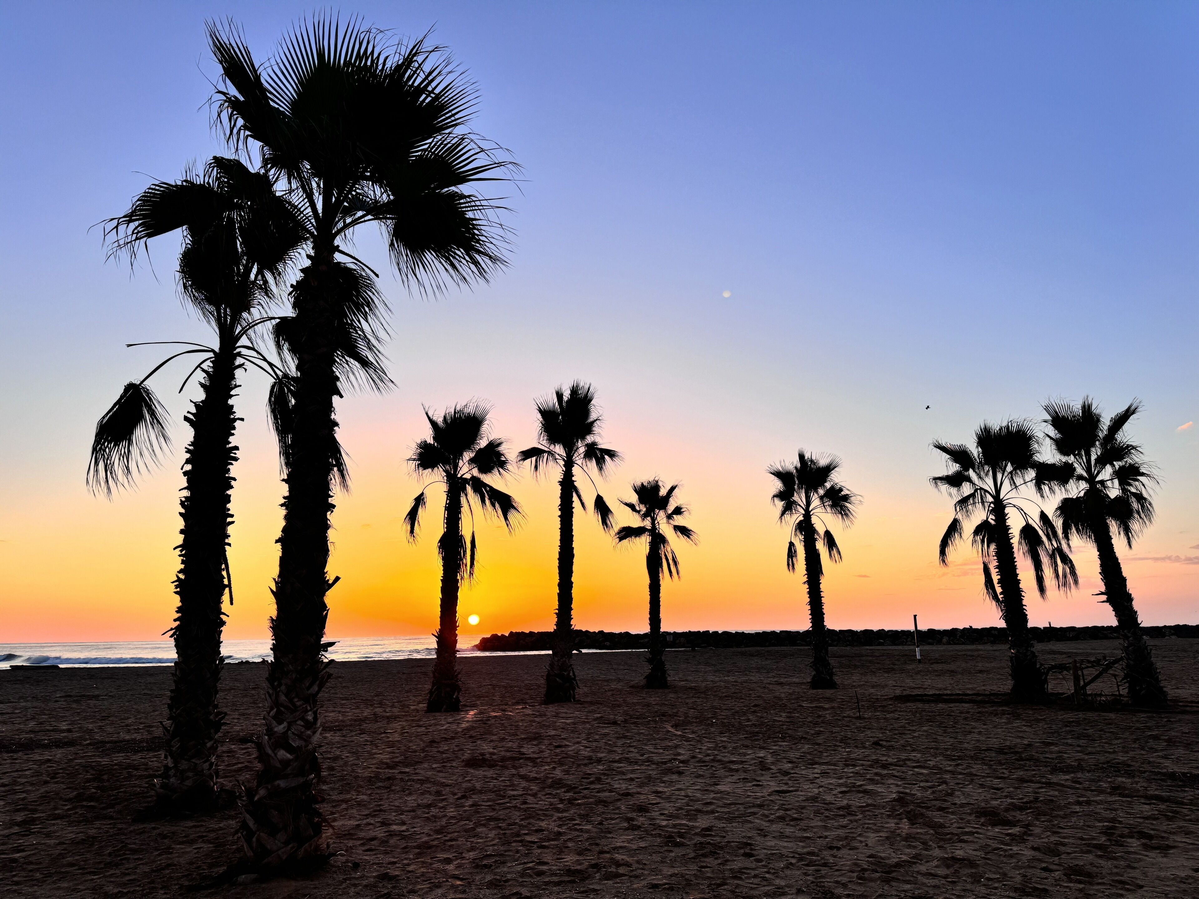 Plage, chaises longues