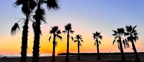 Plage, chaises longues