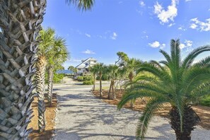 Property grounds - Welcome to BEACH BEAUTY! (St. George Island)