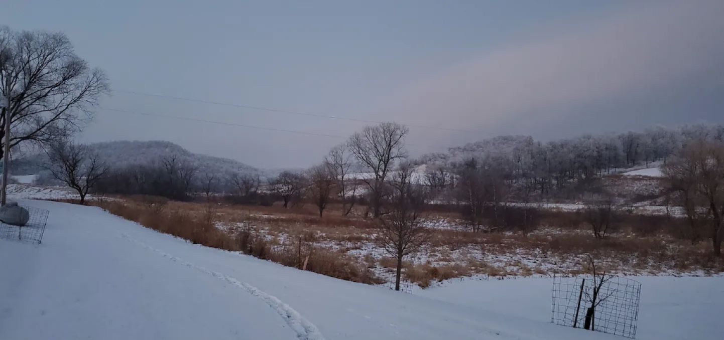 Un paysage enneigé avec une clôture et des arbres.