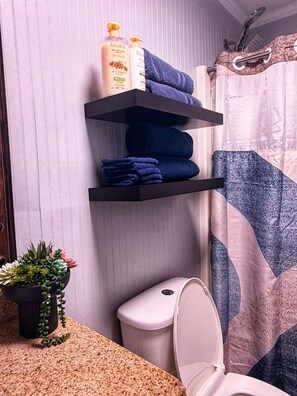 Secadora de cabello, toallas, jabón, shampoo 