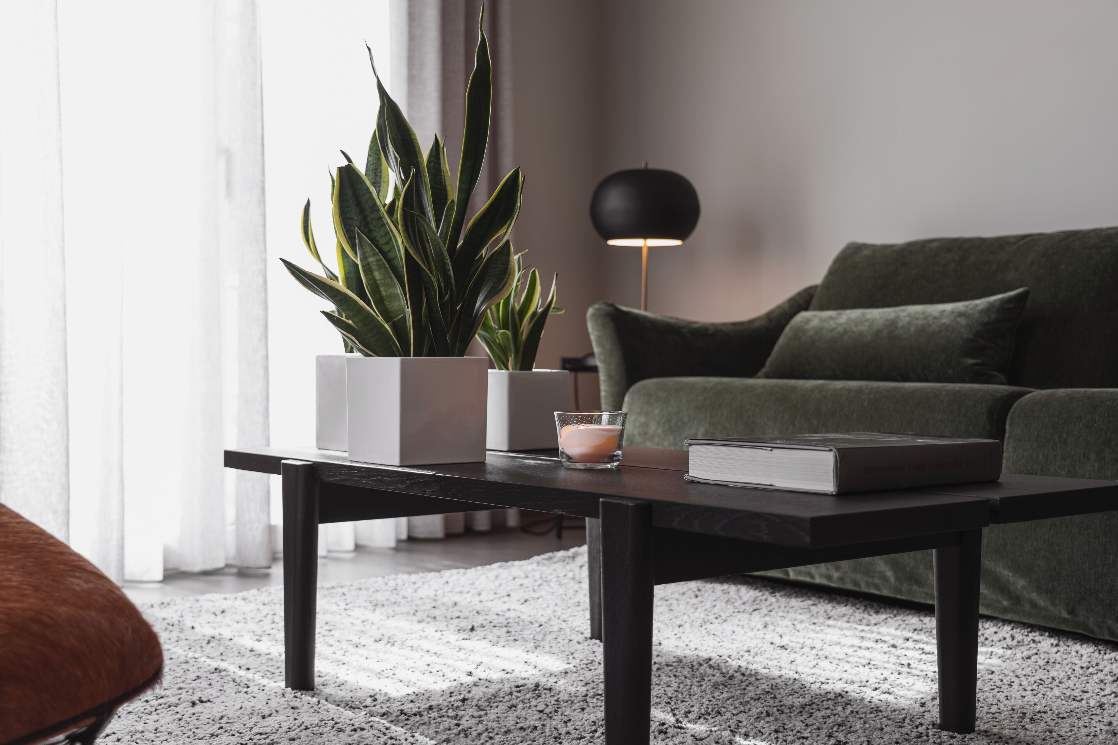 Älytelevisio, kirjoja, stereot