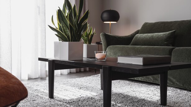 En moderne stue med et mørkt træbord, en potteplante, et glas vand og en bog.